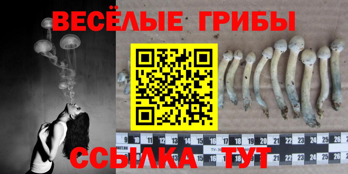 Галлюциногенные грибы MAGIC MUSHROOMS  где купить наркоту  Дедовск  Вход с VPN 